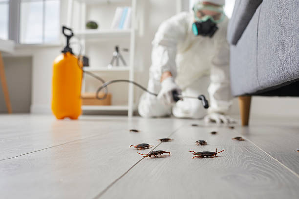 Commercial Kitchen Cockroach Control in Frederick